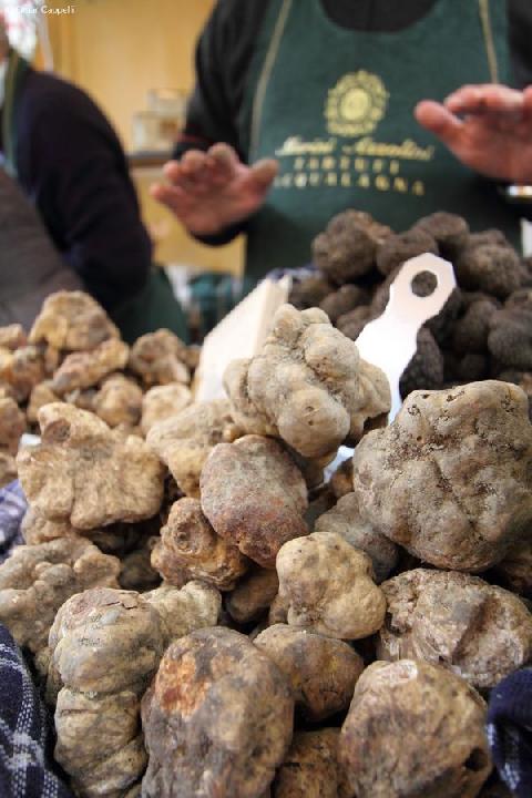 Fiera del Tartufo Bianco