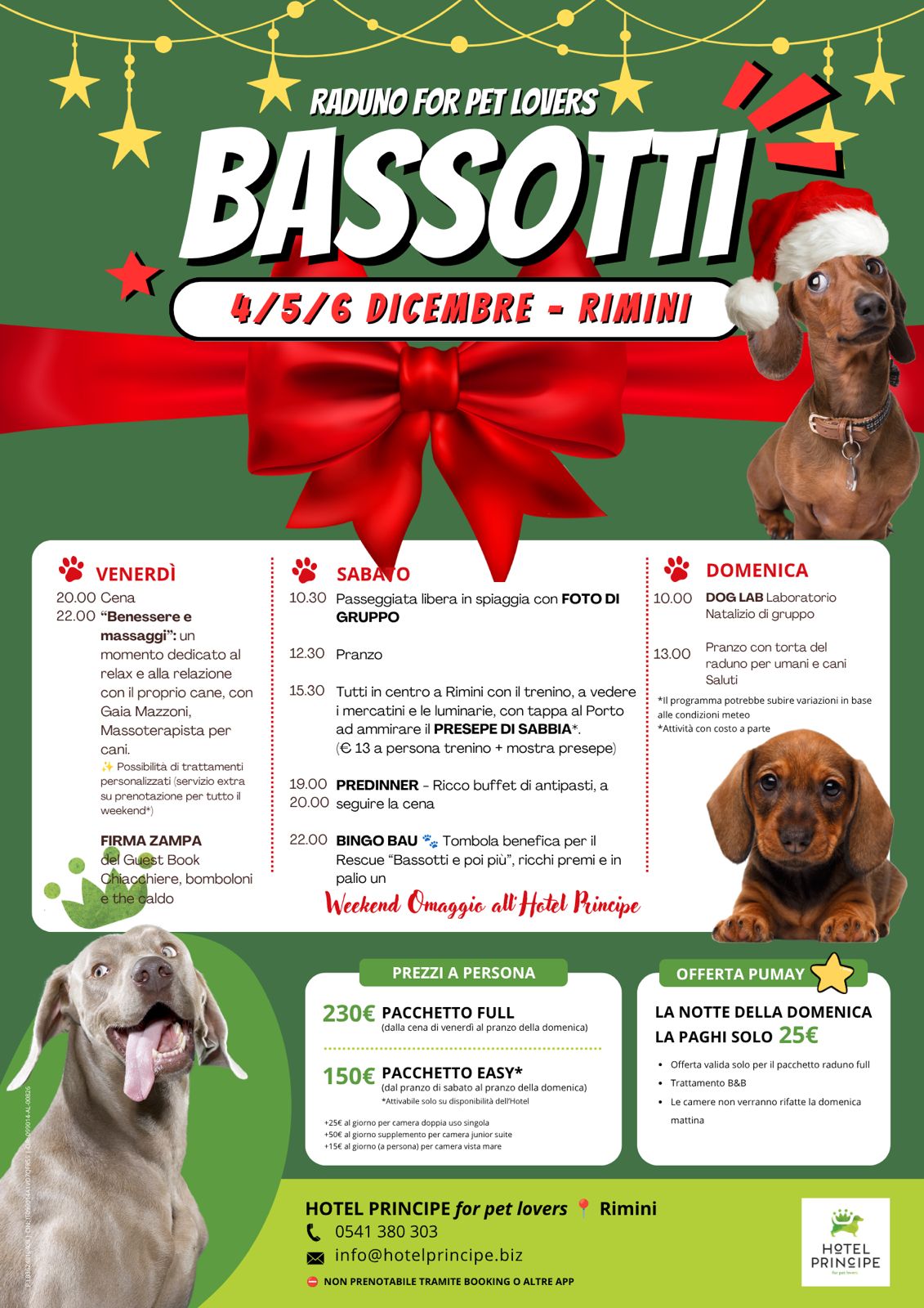 🎄 Bassotti for Christmas: raduno 4–6 dicembre con programma disponibile — principe