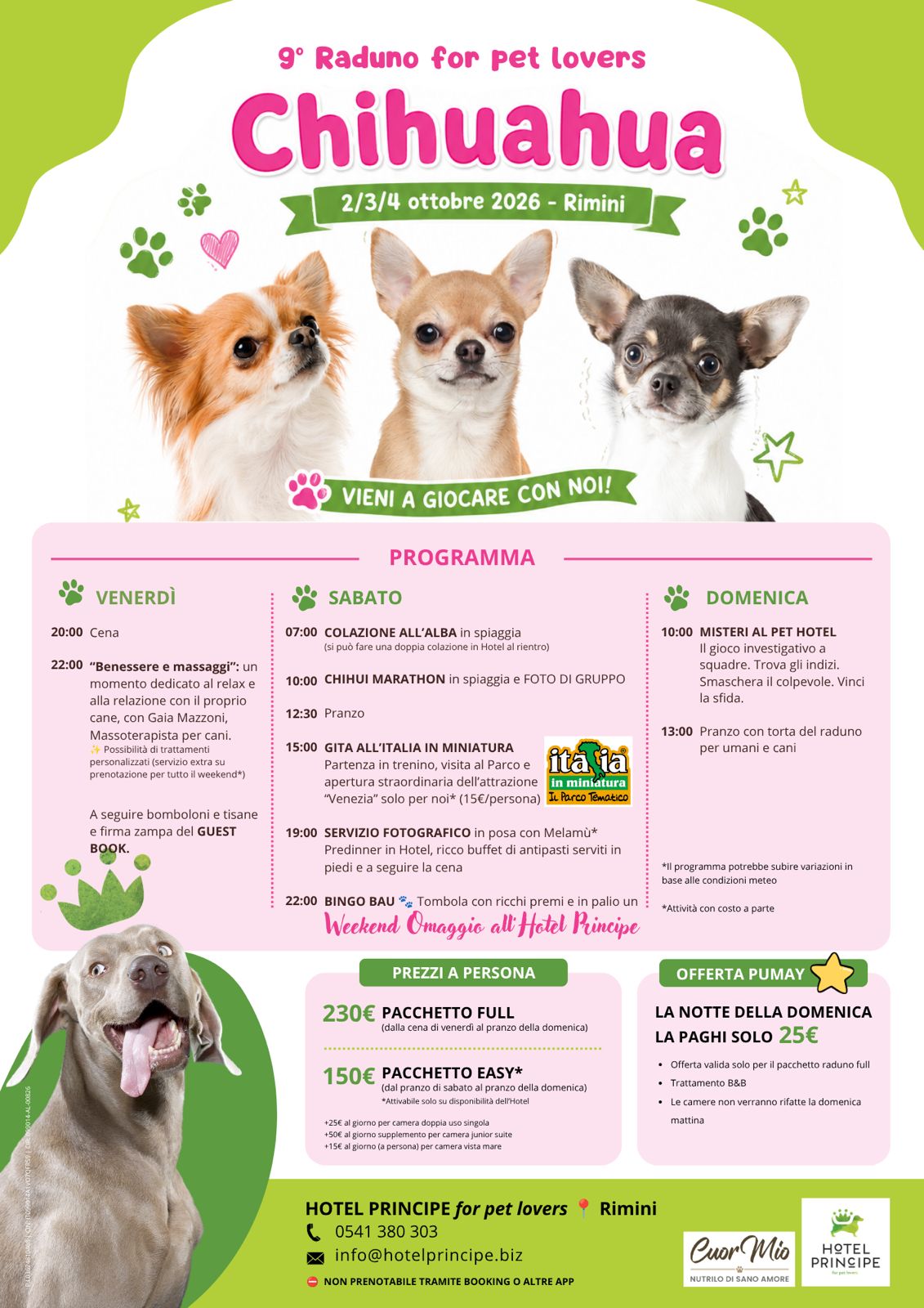 🐾 Raduno Chihuahua 2–4 Ottobre 2026 in hotel pet friendly — principe