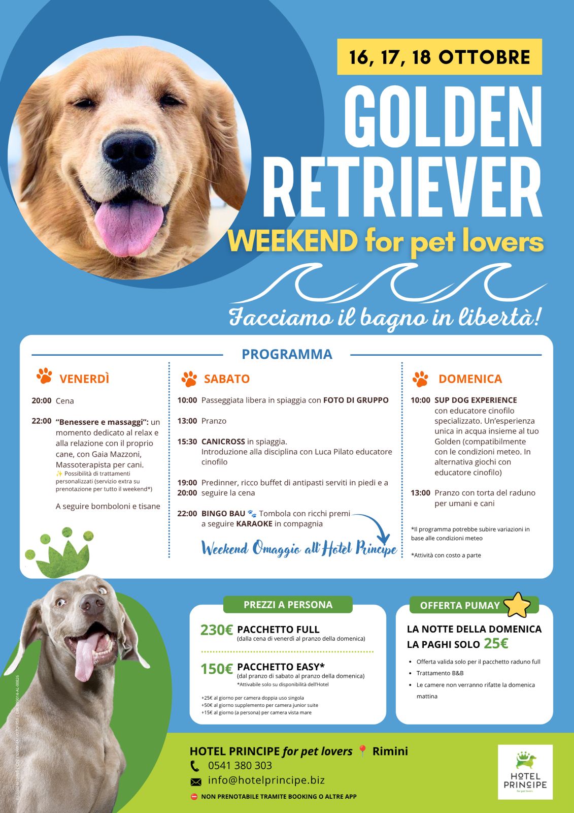 🐾 Raduno Golden Retriever a Rimini dal 16 al 18 ottobre 2026 — principe