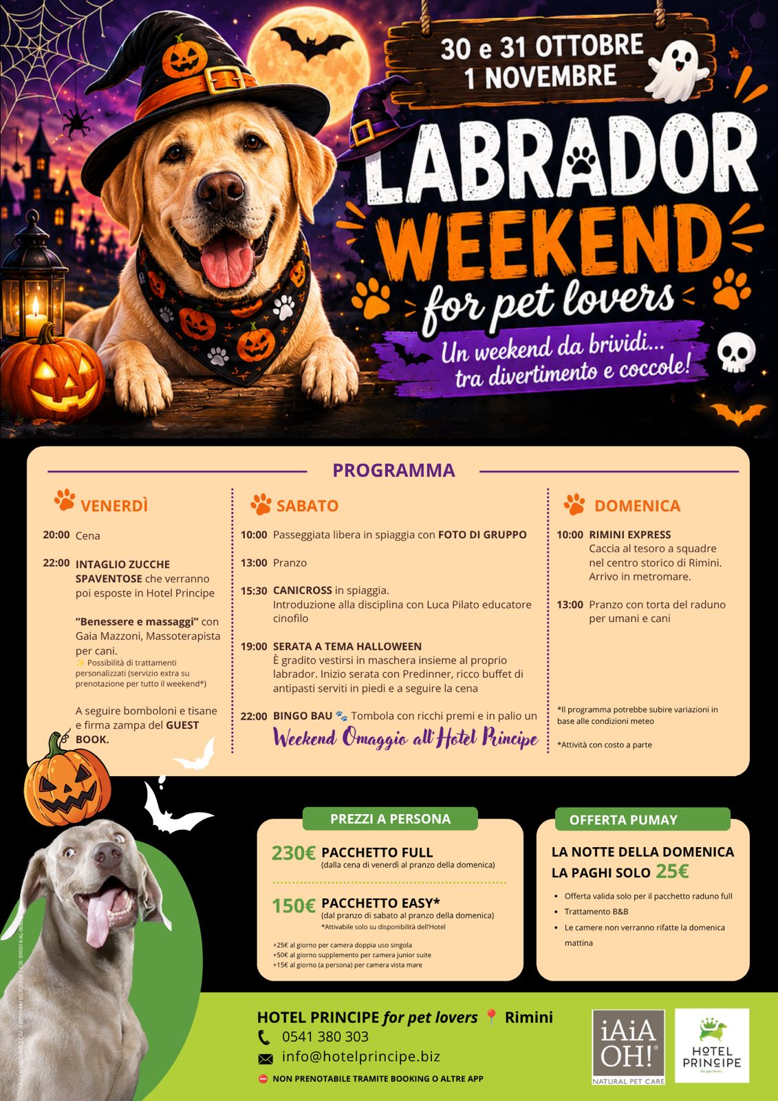 🐾 Raduno Labrador a Rimini dal 30 ottobre al 1 novembre 2026 — principe