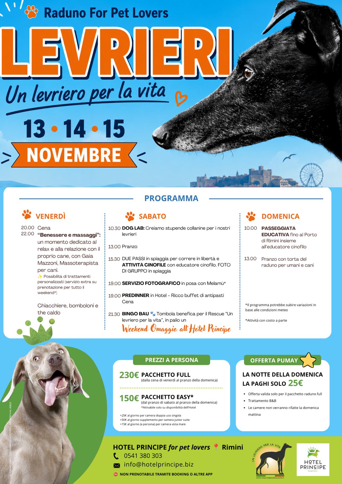 🐕 Raduno Levrieri a Rimini: soggiorno pet friendly 13–15 novembre — principe